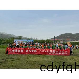 Team-building Activity —— Photo Collection of  The 2024 Fun Sports Meeting 